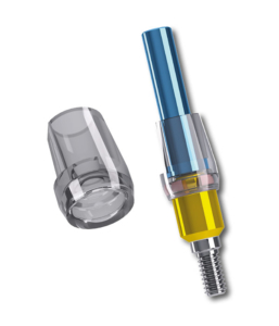 Extragrade castable abutment with screw and Seeger