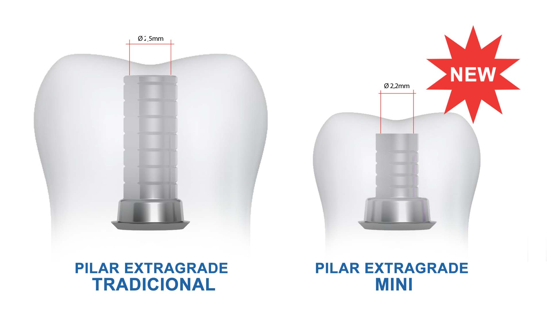 Pilar Extragrade Mini diente